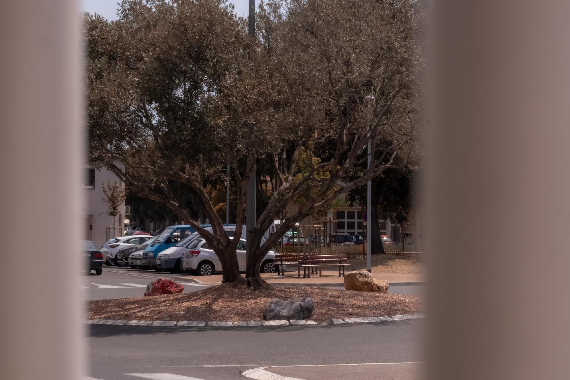 Le Boho Chic Studio Cosy Narbonne Dış mekan fotoğraf